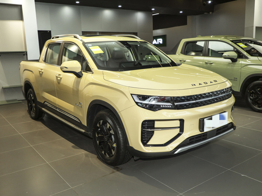 Geely RD6 Pure Electric Pickup Truck 4 Portas 5 Assentos Estrutura do corpo Sistema ABS Incluído