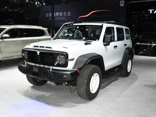 2023 GWM Off-road Tank 300 SUV Carro 2.0T Combustível a gasolina 4WD Equipado com farol LED