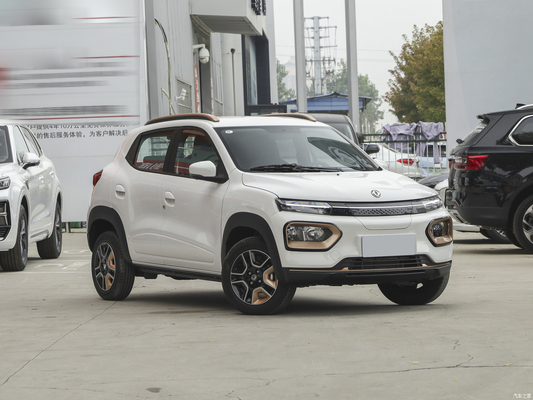 Nammi BoxEV Light Wind Versão Modelo Padrão Vida da Bateria 201KM Chinese Family Car SUV