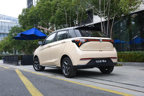 335KM Pure Electric Range Yue 01 2024 Modelo Lingyue Versão com Bateria Tipo Lítio